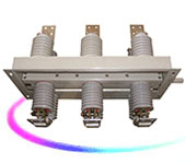 GN30-12(D)��תʽ���뿪��