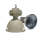 �������������ϵ��